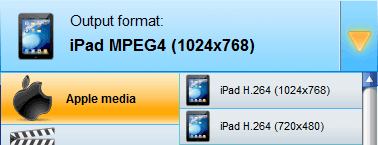 Media Buddy iPad video conversion profiles